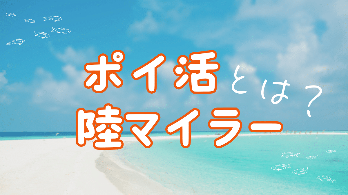 ポイ活陸マイラー初心者がやったこと